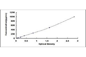 Typical standard curve (IL12B ELISA 试剂盒)