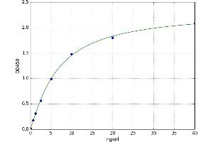 Leucine-Rich Repeat Containing G Protein-Coupled Receptor 4 (LGR4) ELISA Kit