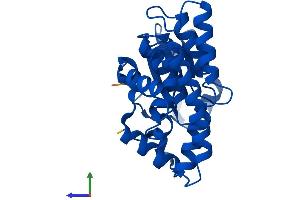 Protein Structure (PS) image for Glutathione S-Transferase omega 2 (GSTO2) (AA 1-243) protein (His tag) (ABIN7548233)