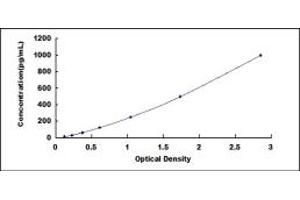 Typical standard curve (BMP5 ELISA 试剂盒)