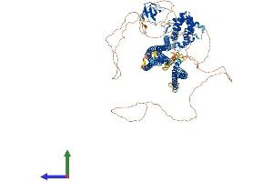Protein Structure (PS) image for SLIT-ROBO rho GTPase Activating Protein 1 (SRGAP1) (AA 1-1085) protein (His tag) (ABIN7555636)