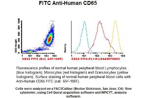 Image no. 1 for anti-CD65 antibody (FITC) (ABIN1112218) (CD65 抗体 (FITC))