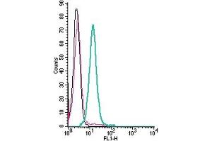 anti-Serotonin Receptor 4 (HTR4) (AA 168-180), (Extracellular) antibody