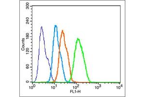 Image no. 5 for anti-Cytochrome C, Somatic (CYCS) (AA 51-105) antibody (ABIN723590)