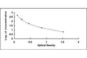 Typical standard curve (Lipotropin, beta - ELISA 试剂盒)