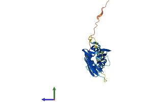 AlphaFold protein structure predicition of Mouse Recombinant Kcnrg Protein, UniprotID Q2TUM3