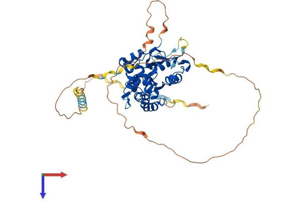 HS3ST4 Protein (AA 1-456) (His tag)