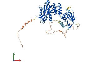 Protein Structure (PS) image for Suppressor of Fused Homolog (SUFUH) (AA 1-484) protein (His tag) (ABIN7555666)
