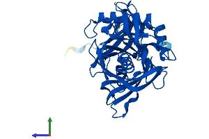 Protein Structure (PS) image for L-3-Hydroxyproline Dehydratase (Trans-) (L3HYPDH) (AA 1-354) protein (His tag) (ABIN7560712)