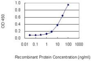 Detection limit for recombinant GST tagged PPP4C is 0. (PPP4C 抗体  (AA 1-307))