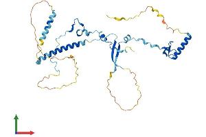 Protein Structure (PS) image for Vacuolar Protein Sorting 72 Homolog (S. Cerevisiae) (VPS72) (AA 1-364) protein (His tag) (ABIN7545146)