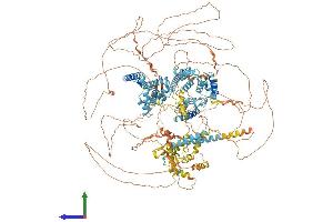 Protein Structure (PS) image for Small Nuclear RNA Activating Complex, Polypeptide 4, 190kDa (SNAPC4) (AA 1-1469) protein (His tag) (ABIN7555594)