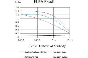 Black line: Control Antigen (100 ng),Purple line: Antigen (10 ng), Blue line: Antigen (50 ng), Red line:Antigen (100 ng) (RAB27B 抗体  (AA 2-218))