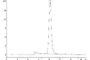 Size-exclusion chromatography-High Pressure Liquid Chromatography (SEC-HPLC) image for Myelin Associated Glycoprotein (MAG) (AA 20-516) protein (His tag) (ABIN7275226)