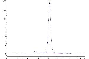 The purity of Mouse Siglec-4a/MAG is greater than 95 % as determined by SEC-HPLC. (MAG Protein (AA 20-516) (His tag))
