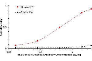 Cytokine IFN gamma (IFNy) sandwich ELISA (enzyme-linked immunosorbent assay) that utilizes antibody clone NIB42 as the protein capture antibody and antibody clone 4S. (Interferon gamma 抗体  (Biotin))
