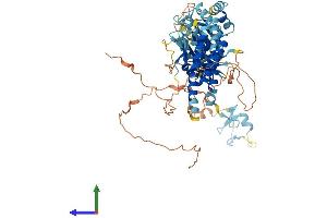 Protein Structure (PS) image for Ring Finger Protein 112 (RNF112) (AA 1-631) protein (His tag) (ABIN7551458)