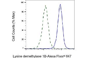 Validation of Lysine demethylase 1B knockdown using flow cytometry. (Recombinant KDM1B 抗体)