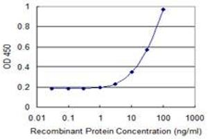 Detection limit for recombinant GST tagged EIF3I is 1 ng/ml as a capture antibody.