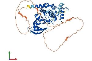 AlphaFold protein structure predicition of Human Recombinant MOK Protein, UniprotID Q9UQ07