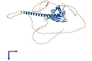 TSPY-Like 4 (TSPYL4) (AA 1-414) protein (His tag)