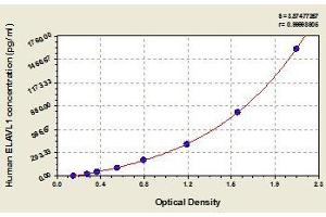 Typical standard curve (ELAVL1 ELISA 试剂盒)