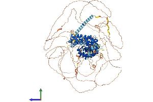 Protein Structure (PS) image for Catenin (Cadherin-Associated Protein), delta 2 (Neural Plakophilin-Related Arm-Repeat Protein (CTNND2) (AA 1-1247) protein (His tag) (ABIN7562388)