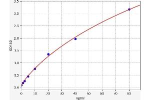 Typical standard curve (ENPP2 ELISA 试剂盒)