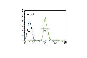 DUSP2 Antibody (C-term) (ABIN653027 and ABIN2842647) flow cytometric analysis of HepG2 cells (right histogram) compared to a negative control cell (left histogram). (DUSP2 抗体  (C-Term))