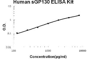 Human Gp130/IL6ST PicoKine ELISA Kit standard curve (CD130/gp130 ELISA 试剂盒)