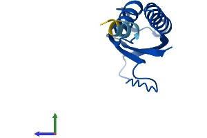 AlphaFold protein structure predicition of Human Recombinant DYNLT1 Protein, UniprotID P63172