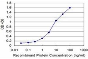 Detection limit for recombinant GST tagged HMGB2 is approximately 0. (HMGB2 抗体  (AA 1-195))