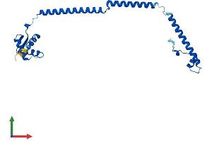 Protein Structure (PS) image for PSMC3 Interacting Protein (PSMC3IP) (AA 1-217) protein (His tag) (ABIN7548352)