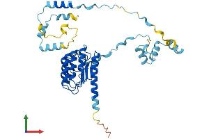 Protein Structure (PS) image for Tropomodulin 1 (TMOD1) (AA 1-359) protein (His tag) (ABIN7544422)