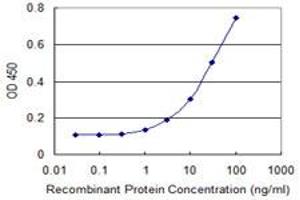 Detection limit for recombinant GST tagged GRM8 is 0. (GRM8 抗体  (AA 486-575))
