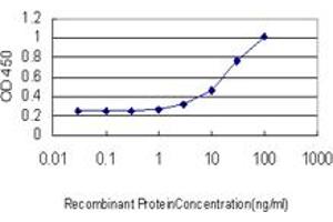 Detection limit for recombinant GST tagged PAX7 is approximately 3ng/ml as a capture antibody. (PAX7 抗体  (AA 411-520))