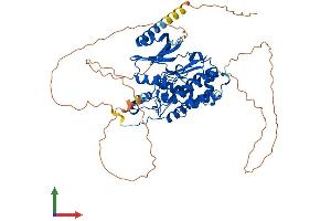 Protein Structure (PS) image for Cell Division Cycle 7 (CDC7) (AA 1-564) protein (His tag) (ABIN7556347)