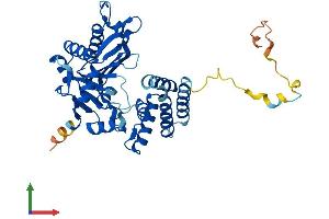 Protein Structure (PS) image for Family with Sequence Similarity 46, Member C (FAM46C) (AA 1-391) protein (His tag) (ABIN7547553)