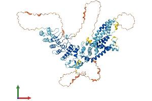 Protein Structure (PS) image for Transient Receptor Potential Cation Channel, Subfamily V, Member 1 (TRPV1) (AA 1-839) protein (His tag) (ABIN7555858)