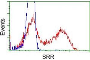 HEK293T cells transfected with either pCMV6-ENTRY SRR (RC210359) (Red) or empty vector control plasmid (Blue) were immunostained with anti-SRR mouse monoclonal (ABIN2453693), and then analyzed by flow cytometry. (SRR 抗体)
