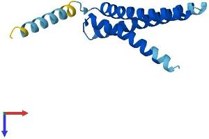 AlphaFold protein structure predicition of Mouse Recombinant Tmem170b Protein, UniprotID P86050 (TMEM170B Protein (AA 1-132) (His tag))