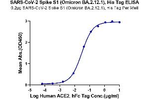 ELISA image for SARS-CoV-2 Spike S1 (BA.2.12.1 - Omicron) protein (His tag) (ABIN7273902)