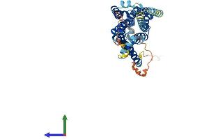Protein Structure (PS) image for Serotonin Receptor 4 (HTR4) (AA 1-388) protein (His tag) (ABIN7551733)