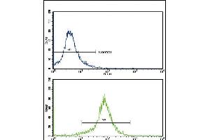 Flow cytometric analysis of K562 cells using SOD3 Antibody (N-term)(bottom histogram) compared to a negative control cell (top histogram). (SOD3 抗体  (N-Term))