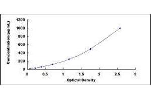 ELISA image for Interleukin 8 (IL8) ELISA Kit (ABIN2014305)