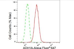 anti-Alcohol Dehydrogenase 1A (Class I), alpha Polypeptide (ADH1A) antibody
