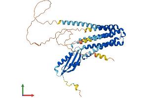 Protein Structure (PS) image for Solute Carrier Family 30 (Zinc Transporter), Member 4 (SLC30A4) (AA 1-429) protein (His tag) (ABIN7545769)