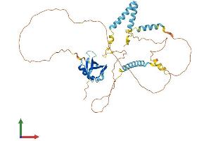 Protein Structure (PS) image for HERPUD Family Member 2 (HERPUD2) (AA 1-406) protein (His tag) (ABIN7548264)