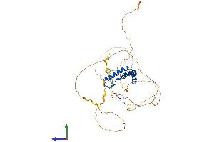 AlphaFold protein structure predicition of Mouse Recombinant Sox11 Protein, UniprotID Q7M6Y2 (SOX11 Protein (AA 1-395) (His tag))
