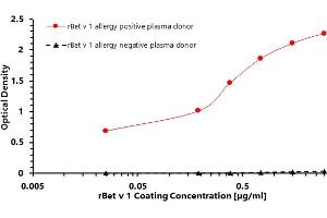ELISA (enzyme-linked immunosorbent assay) test was designed to prove the bond between the coated target recombinant allergen rBet v 1 and allergen-specific human plasma IgG4 antibodies of Betula verrucosa positive donor. (PFN1 蛋白)